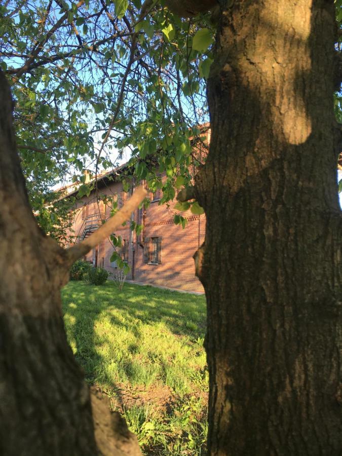 Bed & Breakfast Il Mio Gelso Villanova d'Asti Exterior foto